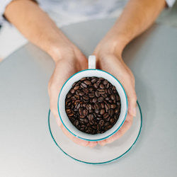 The debate between Arabica and Robusta beans