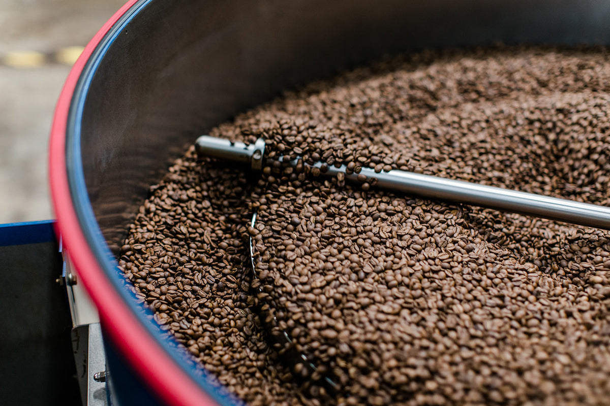 Benjamin Do Brewing Dreams at Commonwealth Joe Commonwealth Joe Coffee Roasters