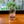 Load image into Gallery viewer, DC Skyline Cold Brew Glass
