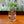 Load image into Gallery viewer, DC Skyline Cold Brew Glass
