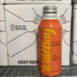 Load image into Gallery viewer, Mango Peach Kombucha Sample
